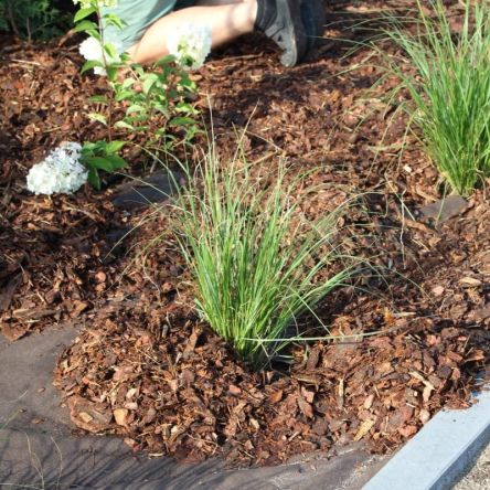 Агротканина для мульчування Dual-Agro проти бурʼянів, мінінрол 1.6х10 (Agro-E0026) - 5