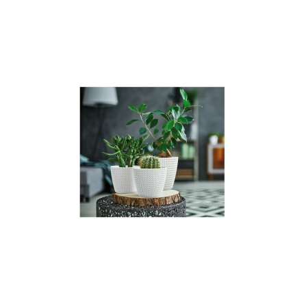 Горшок для цветов Prosperplast SPLOFY 19х16см белый (11900-449) - 2