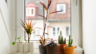 Горшки с автополивом