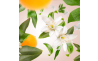 4801 Аромалампа Maison Berger Paris LILLY NUDE, 310 мл + Наповнювач з ароматом ORANGE BLOSSOM, 250 мл - 3