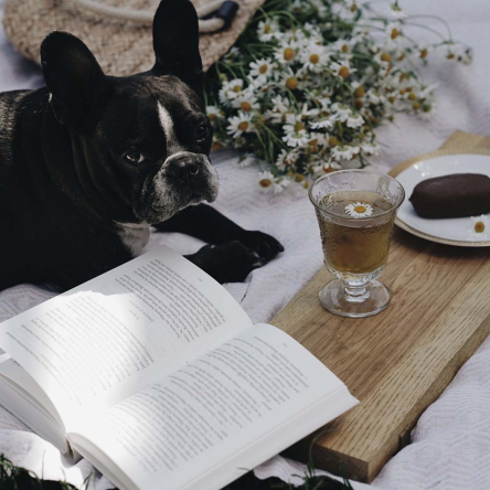 Стакан La Rochere Amboise выс.12 см, диам. 9,4 см, 290 мл - 3 Стакан La Rochere Amboise выс.12 см, диам. 9,4 см, 290 мл - 3