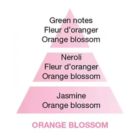 115050 Аромат для лампи Maison Berger Paris ORANGE BLOSSOM, 500 мл - 2
