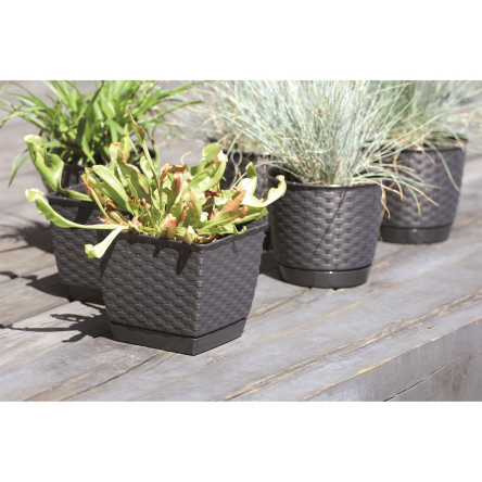 Горщик для квітів Prosperplast RATOLLA круглий 14.5х13см коричневий (70762-440) - 4