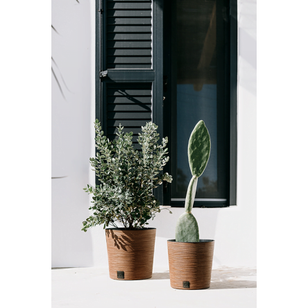 Горшок для цветов Prosperplast FURU ECO WOOD 25х24.7см круглый низкий с вкладышем бежевый (57185-4665) - 3 Горшок для цветов Prosperplast FURU ECO WOOD 25х24.7см круглый низкий с вкладышем бежевый (57185-4665) - 3