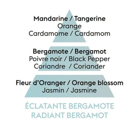 115341 Аромат для лампи Maison Berger Paris RADIANT BERGAMOT, 500 мл - 3