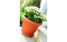 Горшок для цветов Prosperplast ТERRA 20х15.5см терракотовый (11245.1) - 3