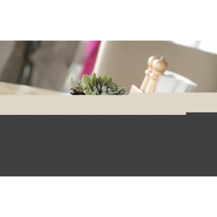 Горшок для цветов Prosperplast TREE 17.5х17.5х17.9см круглый белый (78997-449) - 4