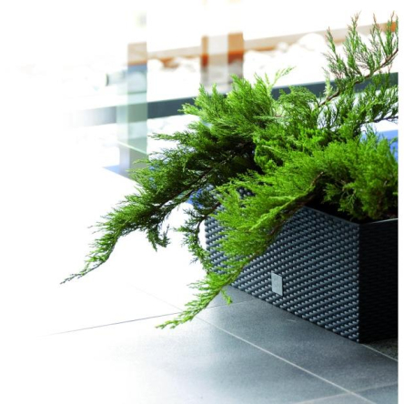 Балконний ящик Prosperplast RATO із вкладишем 60х25х24см антрацит (73962-433) - 3