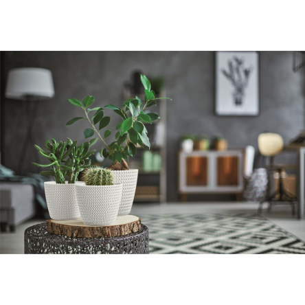 Горщик для квітів Prosperplast SPLOFY 13х11см білий (11700-449) - 3