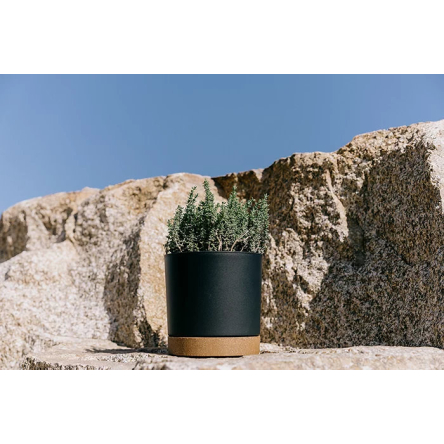 Горщик для квітів Prosperplast TUBO PM 19.8х19.8х19.6см круглий з підставкою ECO WOOD темно-зелений (67146-2411) - 3 Горщик для квітів Prosperplast TUBO PM 19.8х19.8х19.6см круглий з підставкою ECO WOOD темно-зелений (67146-2411) - 3