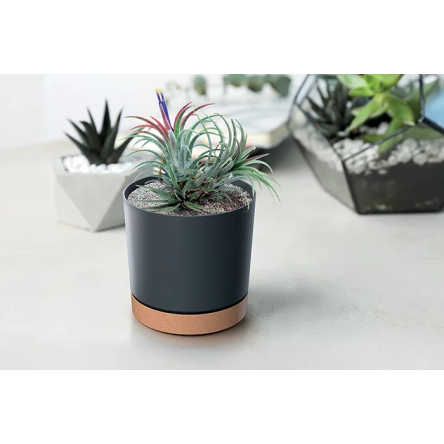 Горщик для квітів Prosperplast TUBO PM 14.8х14.8х13см круглий з підставкою ECO WOOD антрацит (66903-433) - 3