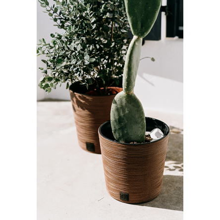 Горшок для цветов Prosperplast FURU ECO WOOD 30х29.4см круглый низкий с вкладышем бежевый (57499-4665) - 3 Горшок для цветов Prosperplast FURU ECO WOOD 30х29.4см круглый низкий с вкладышем бежевый (57499-4665) - 3