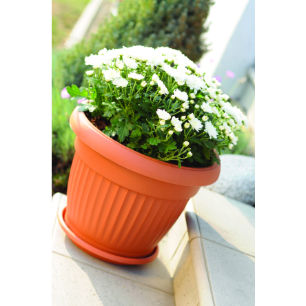 Горшок для цветов Prosperplast ТERRA 13х10см терракотовый (11242) - 3