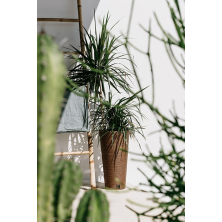 Горщик для квітів Prosperplast FURU ECO WOOD 30х57.5см круглий високий із вкладишем бежевий (57543-4665) - 4