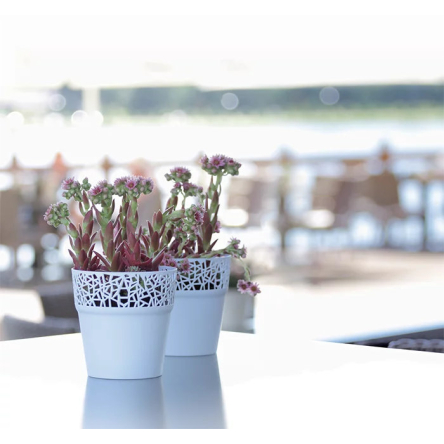 Горшок для цветов Prosperplast TREE 17.5х17.5х17.9см круглый белый (78997-449) - 2