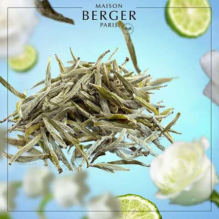 6373 Аромат для дифузора Maison Berger Paris PURE WHITE TEA, 200 мл - 3