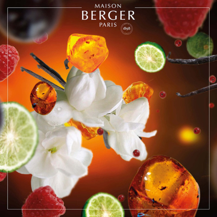 115313 Аромат для лампи Maison Berger Paris ORIENTAL STAR, 500 мл - 3