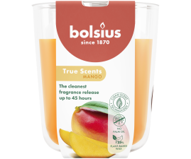 TRUE SCENTS Свічка в склі 9.7х8.5см аромат Манго (BOL-940310)