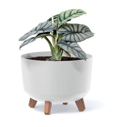 Горщик для квітів Prosperplast GRACIA 23.8х23.8х18.7см круглий на ніжках зелений (87352-5615) - 2