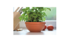 Миска для цветов Prosperplast MISA 3 17х17х8.5см терракотовая (15083) - 2 Миска для цветов Prosperplast MISA 3 17х17х8.5см терракотовая (15083) - 2