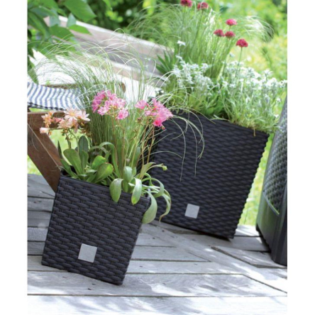 Горщик для квітів Prosperplast RATO квадратний низький зі вставкою 26.5х26.5см антрацит (70894-433) - 3