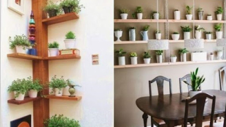 Как выбрать материал горшка?