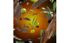 6684 Дифузор Maison Berger Paris ICE CUBE з ароматом UNDER THE OLIVE TREE, 125 мл - 3