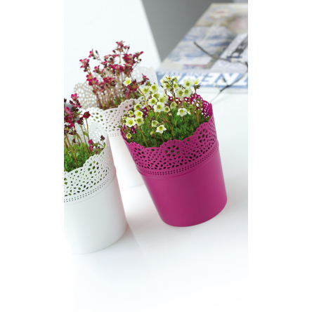 Горщик для квітів Prosperplast LACE 16х16х18.5см білий (78977-449) - 2 Горщик для квітів Prosperplast LACE 16х16х18.5см білий (78977-449) - 2