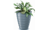 Горшок для цветов Prosperplast FREZE с вкладышем 38.3х38.3х58см светло-серый (63660-443) - 3