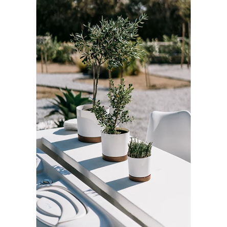 Горщик для квітів Prosperplast TUBO PM 10.8х10.8х9.5см круглий з підставкою ECO WOOD білий (65760-449) - 4 Горщик для квітів Prosperplast TUBO PM 10.8х10.8х9.5см круглий з підставкою ECO WOOD білий (65760-449) - 4