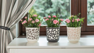 Горшок или кашпо?