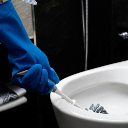 Комплект туалетний BACTERIA STOP WC &quot;Єрш&quot; LUX (YR-64560) - 4