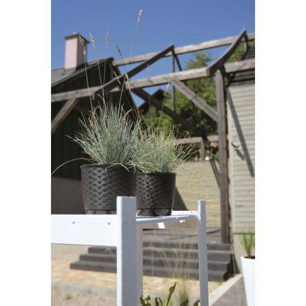 Горщик для квітів Prosperplast RATOLLA круглий 22х19.5см антрацит (70765-433) - 2