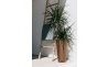 Горщик для квітів Prosperplast FURU ECO WOOD 25х48см високий із вкладишем бежевий (57383-4665) - 4 Горщик для квітів Prosperplast FURU ECO WOOD 25х48см високий із вкладишем бежевий (57383-4665) - 4