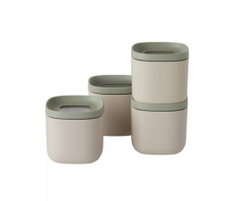 3950660 Набор контейнеров для хранения LEO Balance, 160 мл, 4 пр.