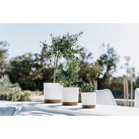 Горщик для квітів Prosperplast TUBO PM 10.8х10.8х9.5см круглий з підставкою ECO WOOD білий (65760-449) - 3 Горщик для квітів Prosperplast TUBO PM 10.8х10.8х9.5см круглий з підставкою ECO WOOD білий (65760-449) - 3