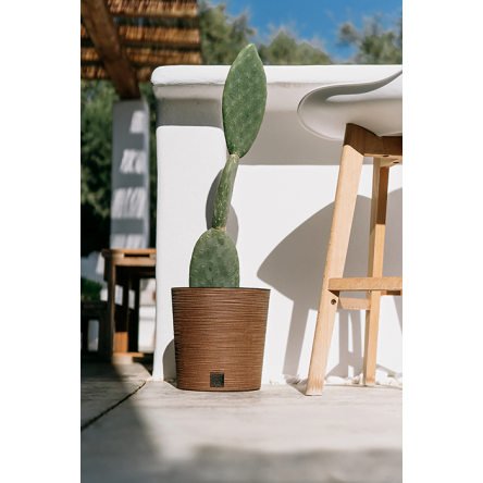 Горшок для цветов Prosperplast FURU ECO WOOD 30х29.4см круглый низкий с вкладышем бежевый (57499-4665) - 2 Горшок для цветов Prosperplast FURU ECO WOOD 30х29.4см круглый низкий с вкладышем бежевый (57499-4665) - 2