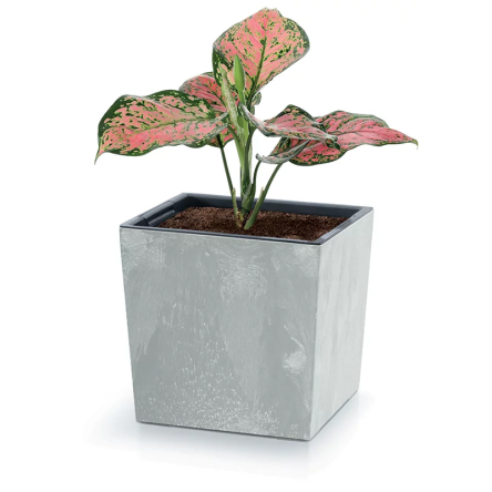 Горшок для цветов Prosperplast URBI SQUARE LOW EFFECT 29.5х29.5х29см квадратный с вкладышем бетон мраморный (56942-422) - 2