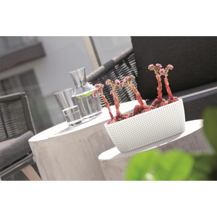 Балконний ящик Prosperplast SPLOFY CASE 30х14х13см білий (26026-449) - 2 Балконний ящик Prosperplast SPLOFY CASE 30х14х13см білий (26026-449) - 2