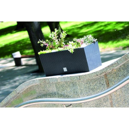 Балконный ящик Prosperplast RATO с вкладышем 51.4х19.2х18.6см антрацит (72962-433) - 4