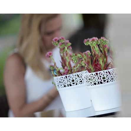 Горщик для квітів Prosperplast TREE 12х12х12.2см круглий білий (78995-449) - 2 Горщик для квітів Prosperplast TREE 12х12х12.2см круглий білий (78995-449) - 2