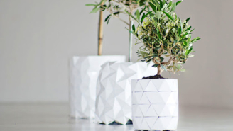 Цветочные горшки и кашпо как элемент интерьера