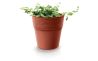 Горшок для цветов Prosperplast FURU-2 17.5х17.9см круглый медный (73720-7598) - 2