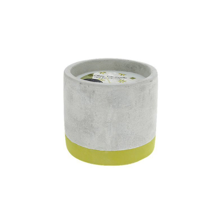 Свеча Bougies La Française в кашпо BETON, олива-лемонграсс, 9 х 9 х 7,5 см, 180 г - 1