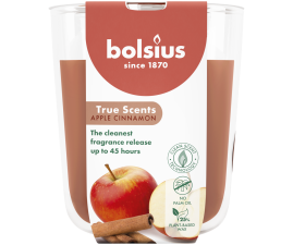 TRUE SCENTS Свічка в склі 9.7х8.5см аромат Яблуко-кориця (BOL-940395)