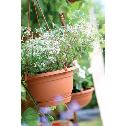 Горшок для цветов Prosperplast AGRO подвесной 21х21х13см терракотовый (15203) - 2 Горшок для цветов Prosperplast AGRO подвесной 21х21х13см терракотовый (15203) - 2