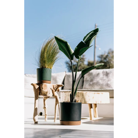 Горщик для квітів Prosperplast TUBO PM 19.8х19.8х19.6см круглий з підставкою ECO WOOD темно-зелений (67146-2411) - 2 Горщик для квітів Prosperplast TUBO PM 19.8х19.8х19.6см круглий з підставкою ECO WOOD темно-зелений (67146-2411) - 2