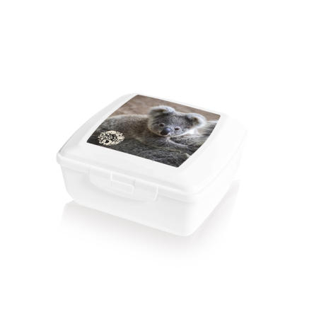 Ємність для сніданку дитяча BRANQ з малюнком коала 0.85л (BRQ -1940.2) - 1 Ємність для сніданку дитяча BRANQ з малюнком коала 0.85л (BRQ -1940.2) - 1