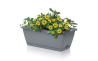 Балконний ящик Prosperplast RESPANA EASYCARE 59.3х19х14см сірий (63004-405) - 2