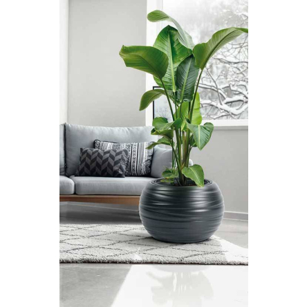 Горшок для цветов Prosperplast MAZE круглый с вкладышем 44х30см антрацит (89038-433) - 3